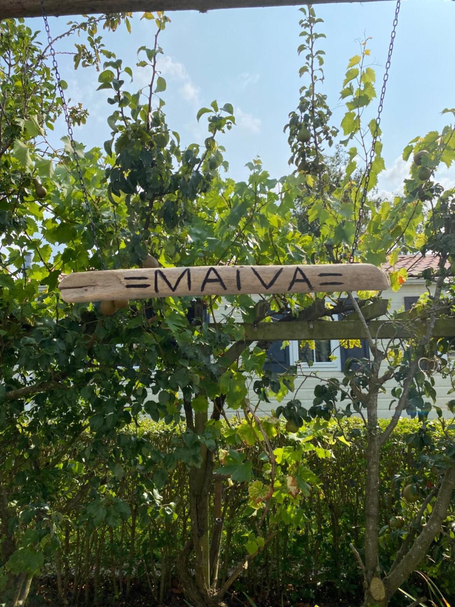 Vakantiewoning Maiva - Chaletparc Krabbenkreek シント・アナラント エクステリア 写真
